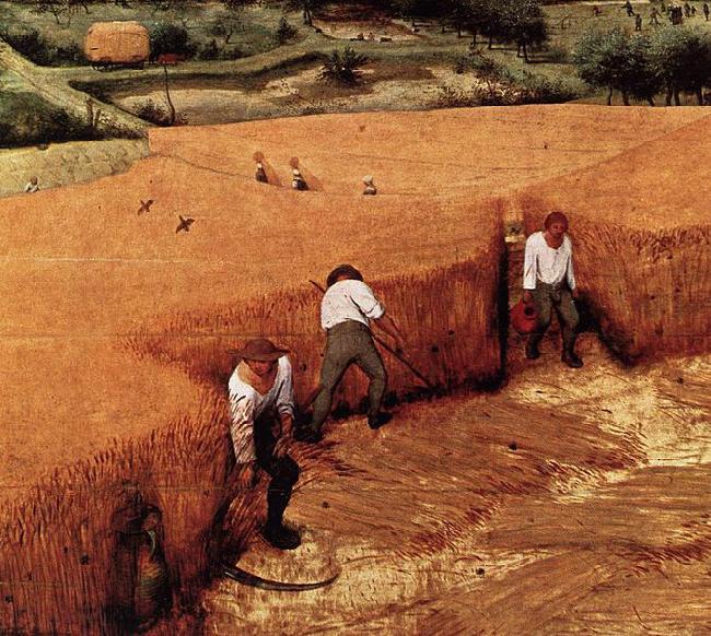 Pieter Bruegel the Elder The Corn Harvest China oil painting art